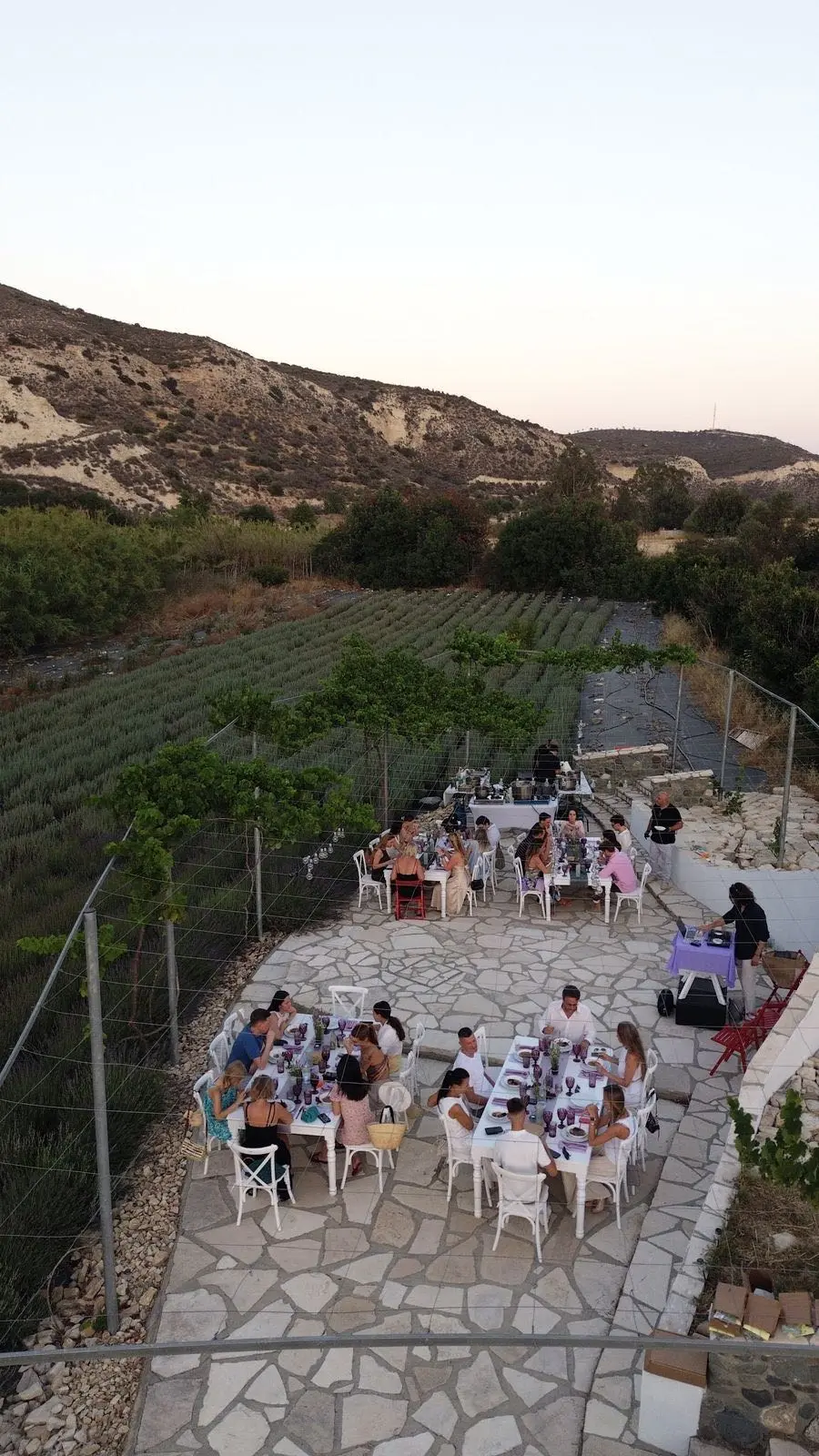 A Provençal Evening in Lavender